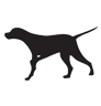 The Dog Inn